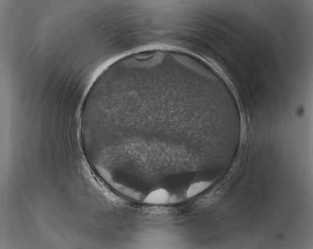 X0000116000862200912101315