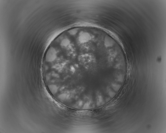 X0000116000863200912101315