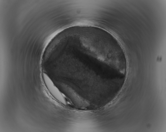 X0000116000864200912101315