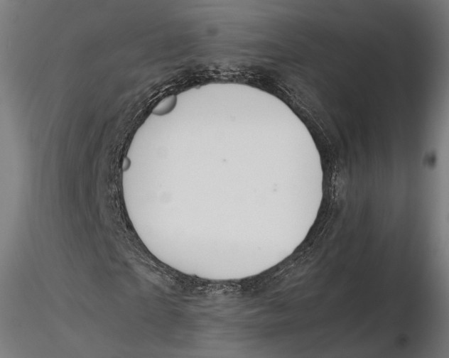 X0000116000865200912101314