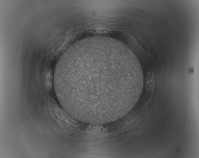 X0000116000866200912101314