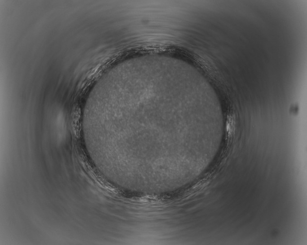 X0000116000867200912101314