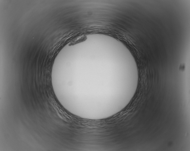 X0000116000868200912101314