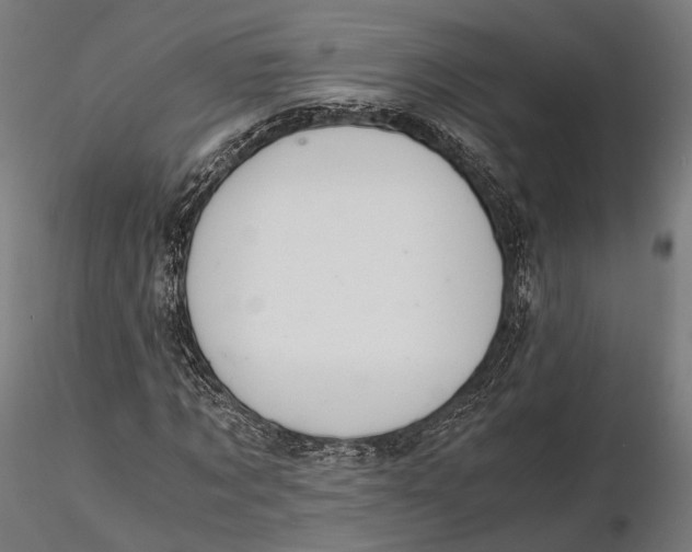 X0000116000869200912101314