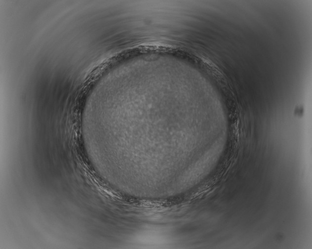 X0000116000870200912101314