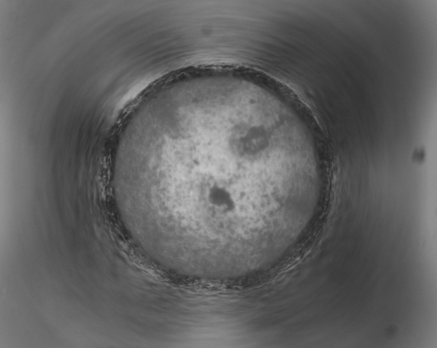 X0000116000871200912101314