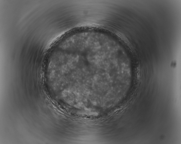 X0000116000872200912101314