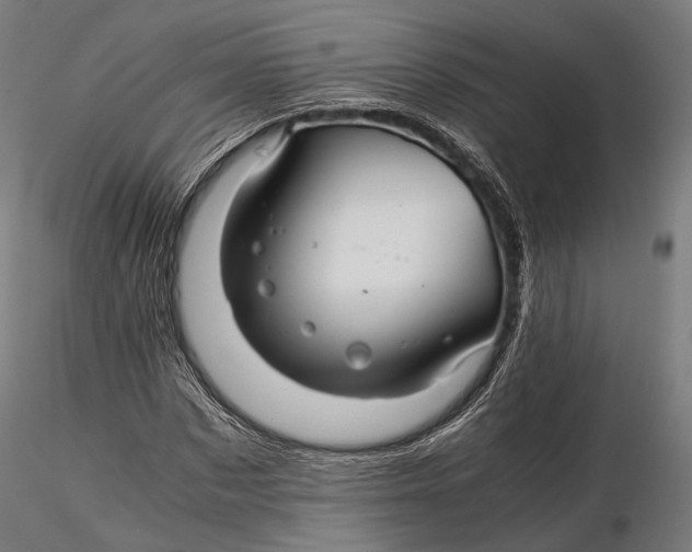 X0000116000873200912101314