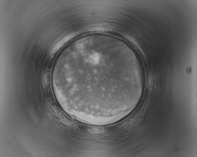 X0000116000874200912101314