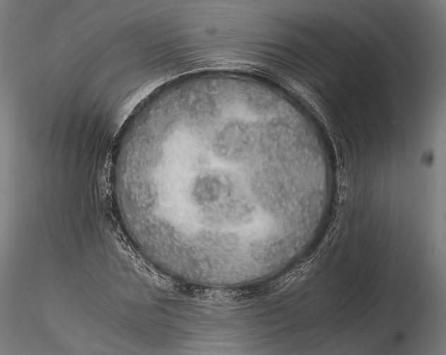 X0000116000875200912101314