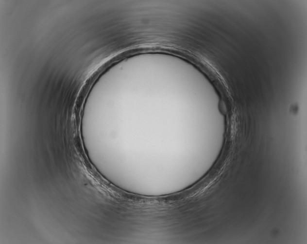 X0000116000876200912101314