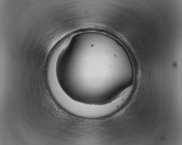 X0000116000877200912101314