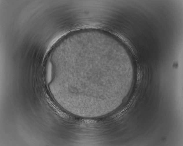 X0000116000878200912101314