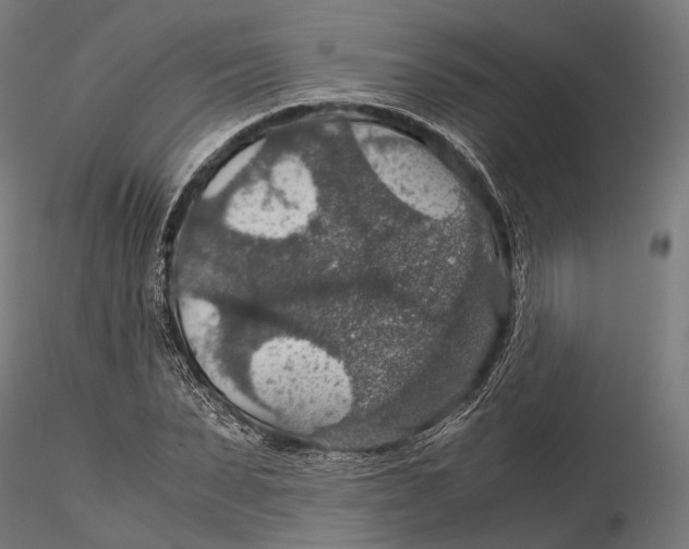 X0000116000879200912101314