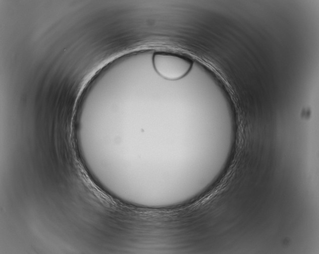 X0000116000880200912101314