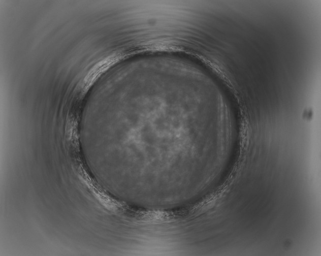 X0000116000881200912101314