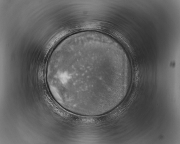 X0000116000882200912101314