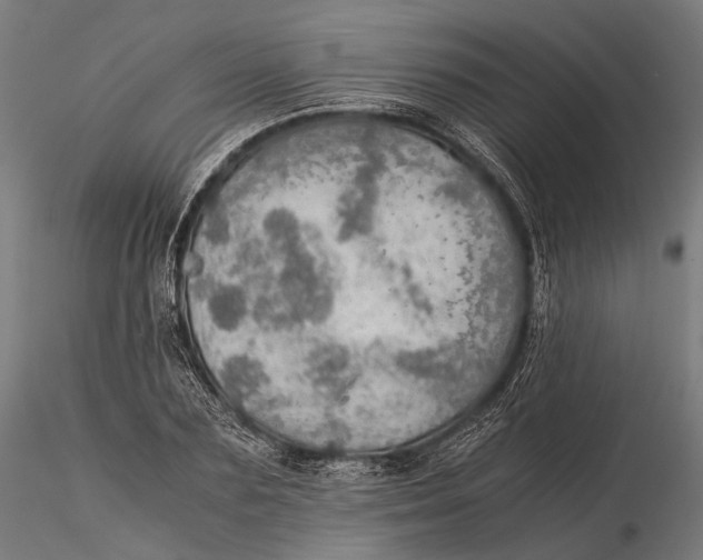 X0000116000883200912101314