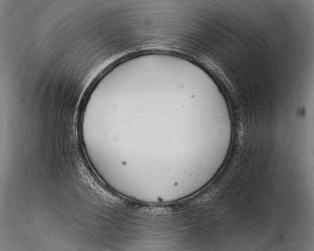 X0000116000884200912101314