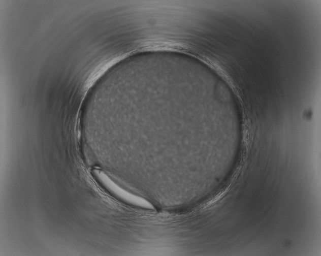 X0000116000885200912101314