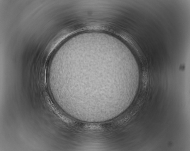 X0000116000886200912101314