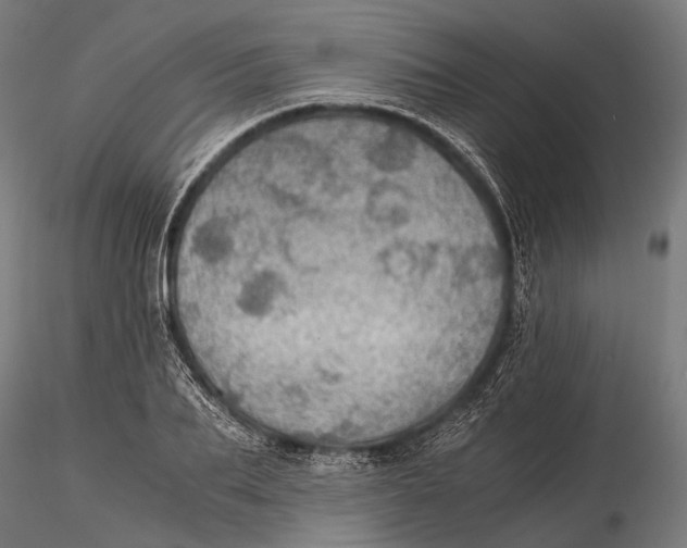 X0000116000887200912101314