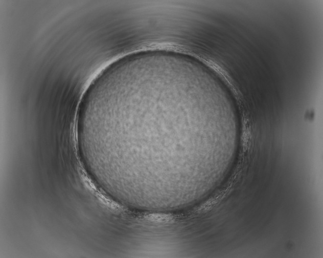 X0000116000888200912101314