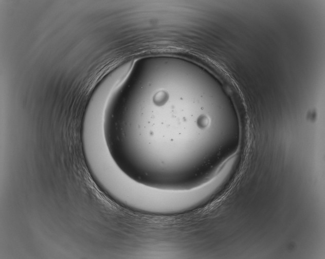 X0000116000889200912101314