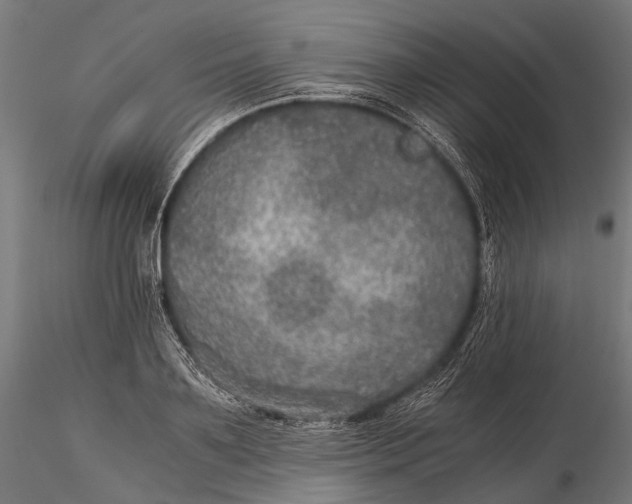 X0000116000891200912101314