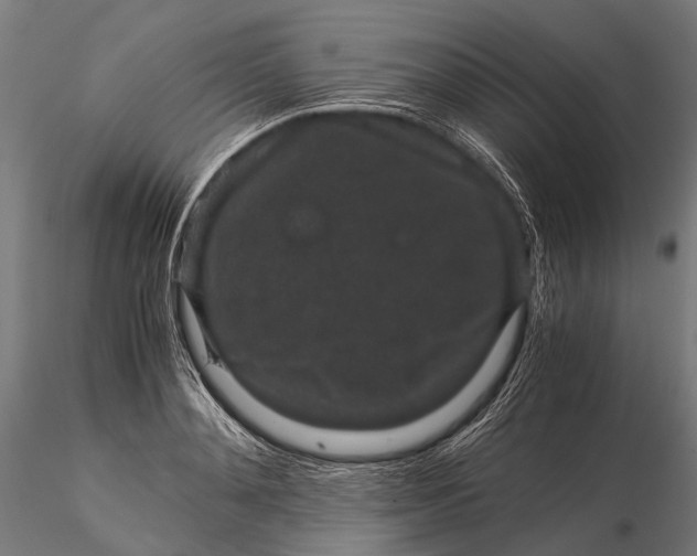 X0000116000892200912101314