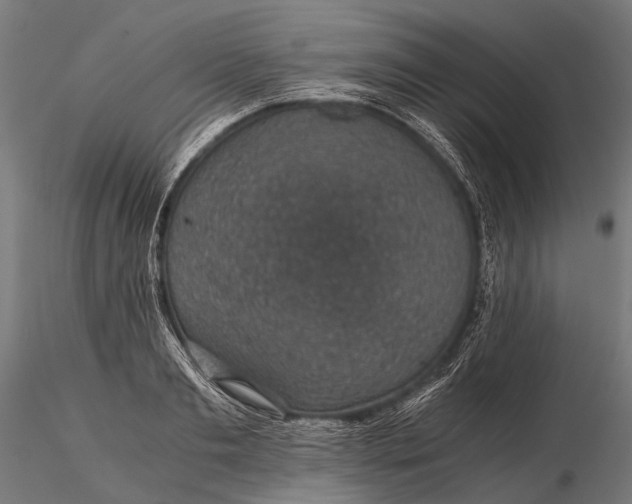 X0000116000893200912101314