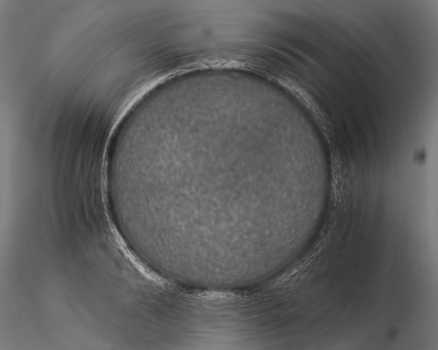 X0000116000894200912101314