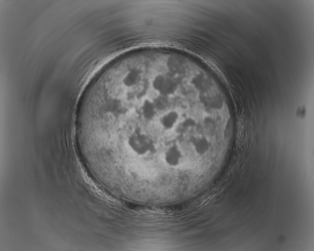 X0000116000895200912101314