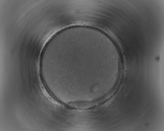 X0000116000896200912101314