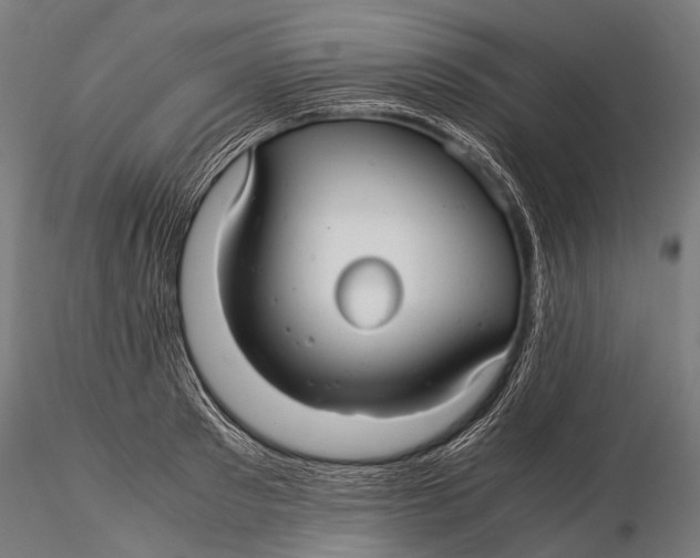 X0000116000897200912101314