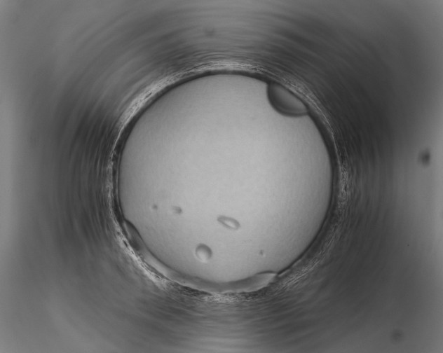 X0000116000898200912101314