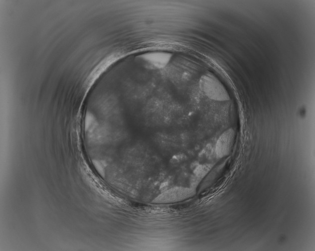 X0000116000899200912101314