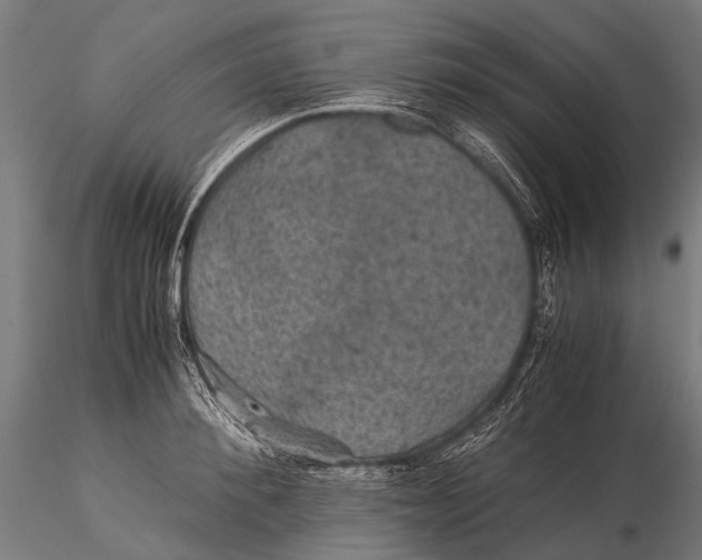 X0000116000900200912101314