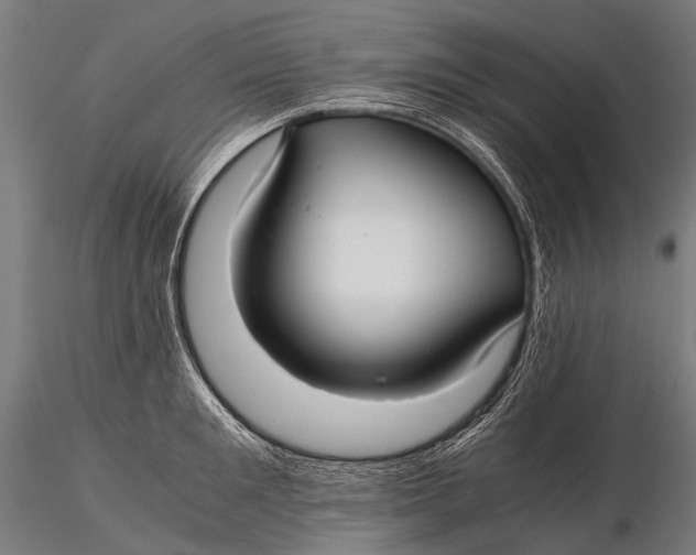 X0000116000901200912101314