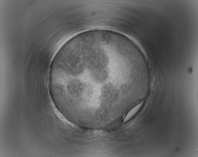 X0000116000903200912101314