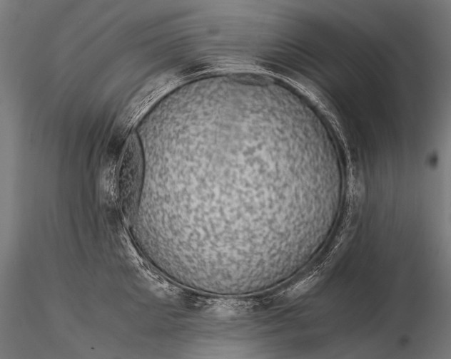 X0000116000905200912101314