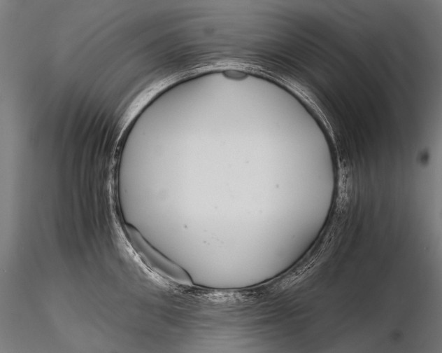 X0000116000906200912101314