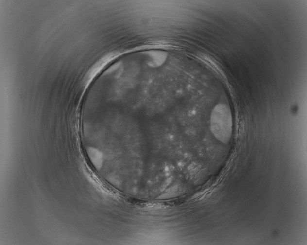 X0000116000907200912101314