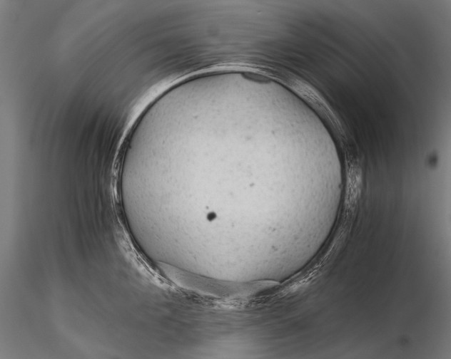 X0000116000908200912101314