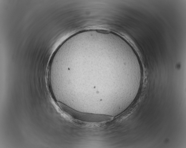 X0000116000909200912101314