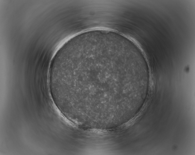 X0000116000910200912101314