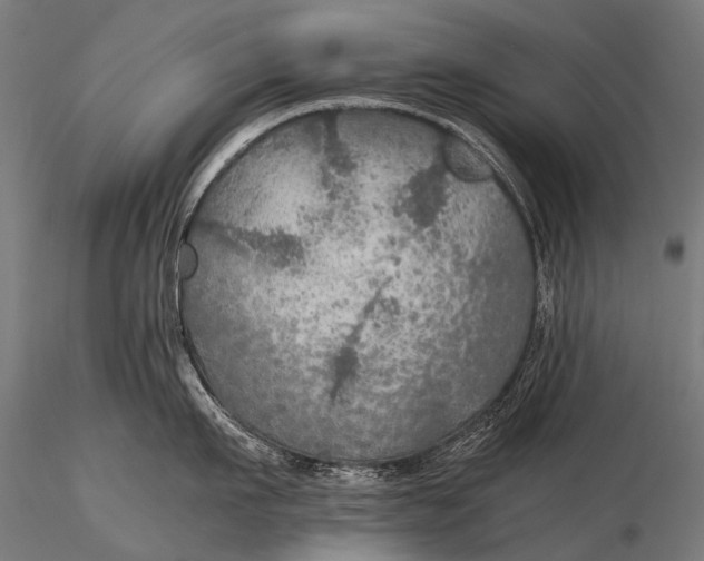 X0000116000911200912101314