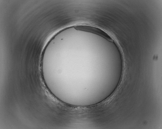 X0000116000912200912101314