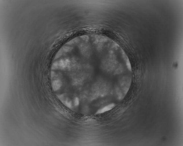 X0000116000913200912101313