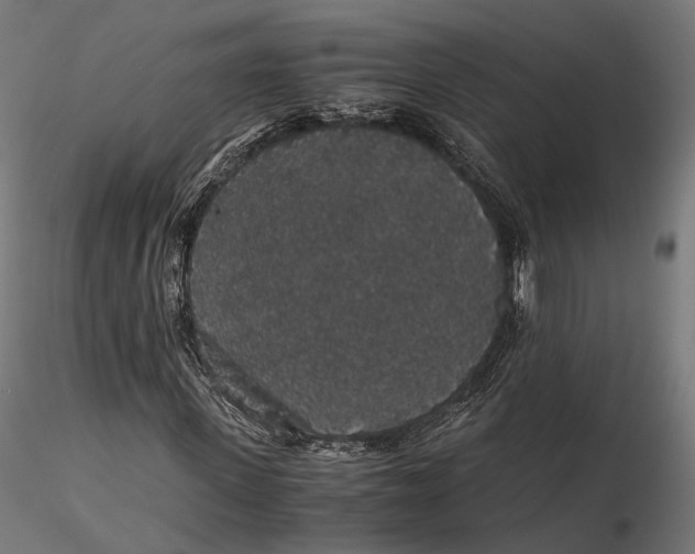 X0000116000915200912101313